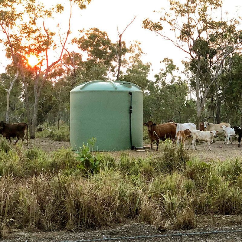 30000L Tank in Cattle Yard