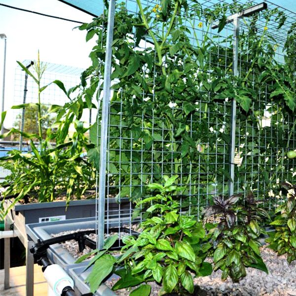 400L Trough - Aquaponics 2