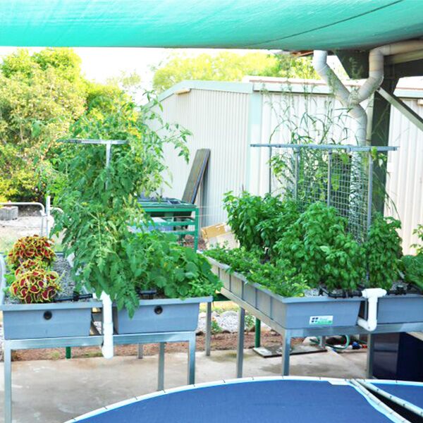 400L Trough - Aquaponics 1